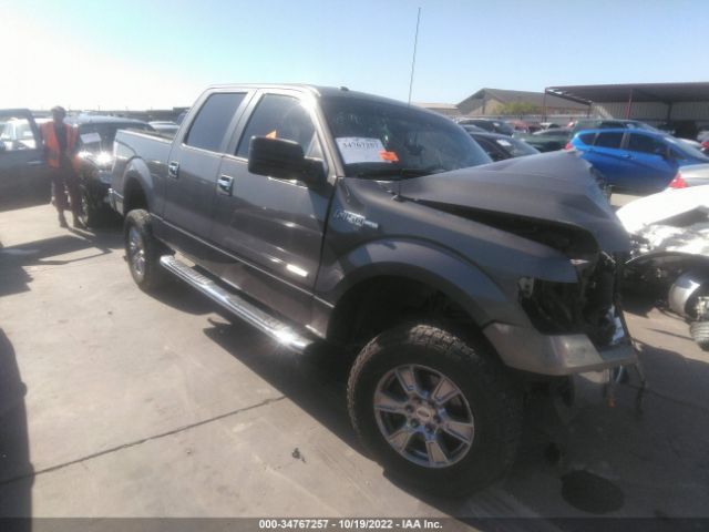 FORD F-150 2013 1ftfw1ct9dke02534