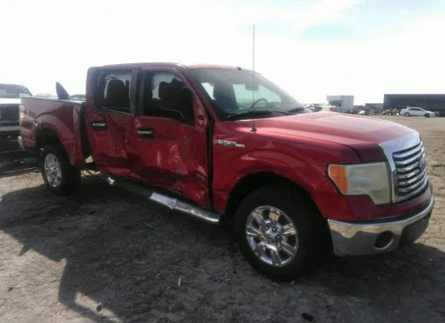 FORD F-150 2012 1ftfw1ctxckd72717