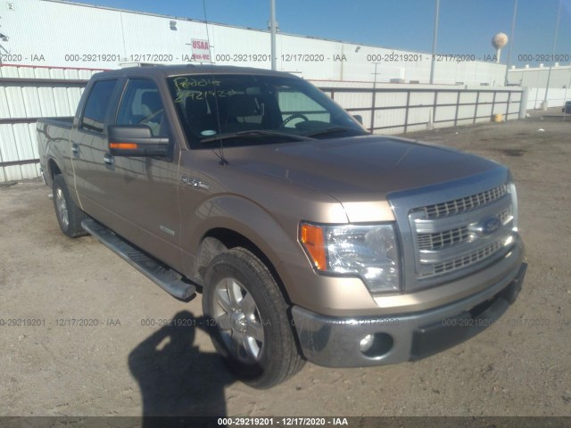 FORD F-150 2013 1ftfw1ctxdke55890