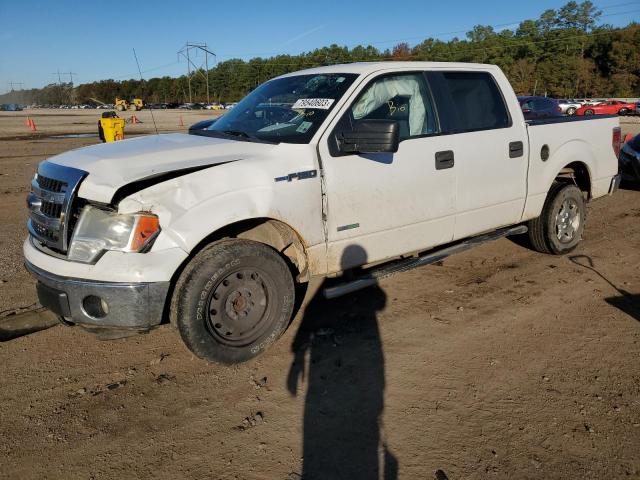 FORD F-150 2014 1ftfw1ctxefb14726