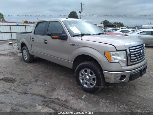 FORD F-150 2010 1ftfw1cv1afd62083