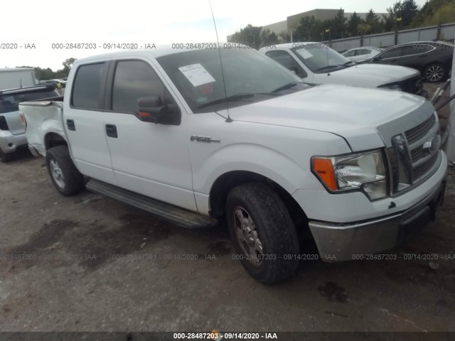 FORD F-150 2010 1ftfw1cv3aka74055