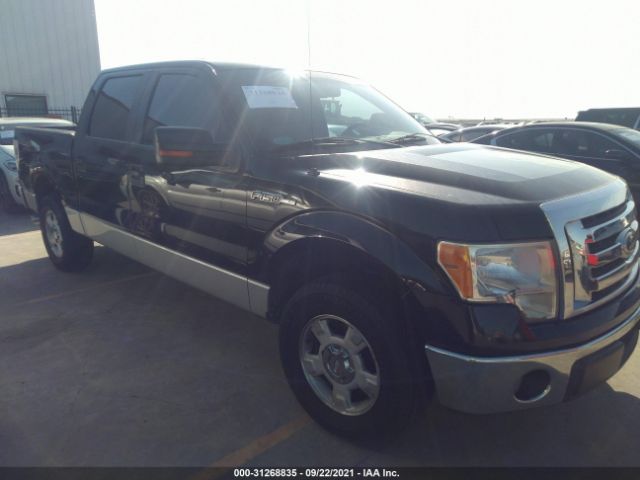 FORD F-150 2010 1ftfw1cv4afd91268