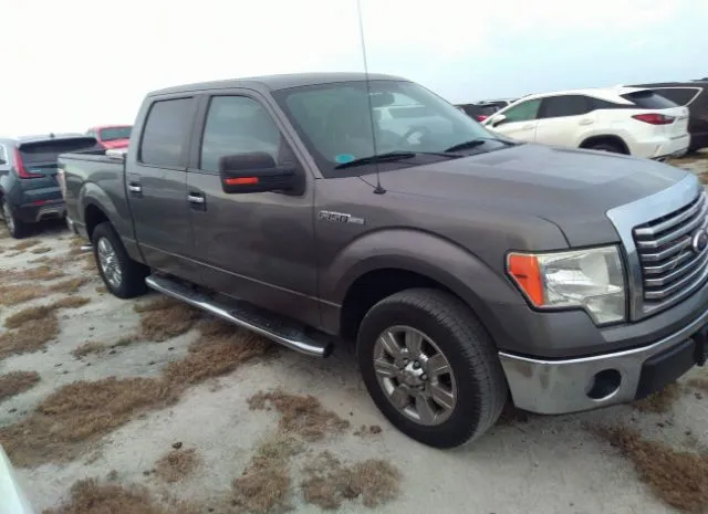 FORD F-150 2010 1ftfw1cv5afb49329