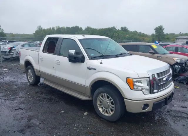 FORD F-150 2010 1ftfw1cv7akb04979