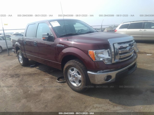 FORD F-150 2010 1ftfw1cv8afb61314