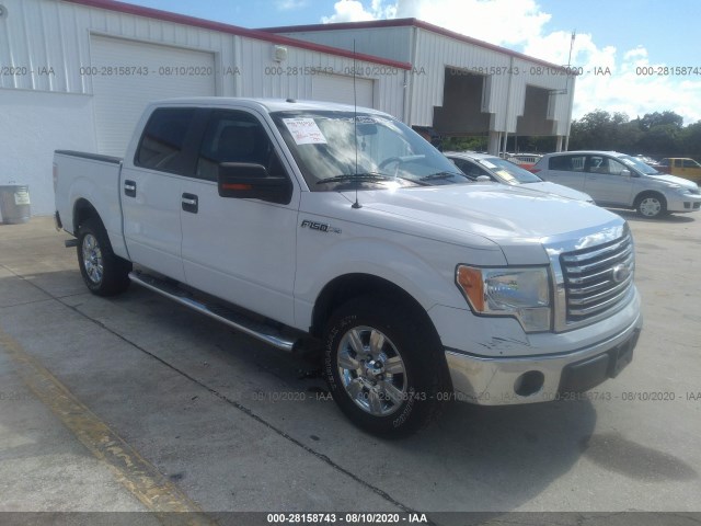 FORD F-150 2010 1ftfw1cv9afd01709