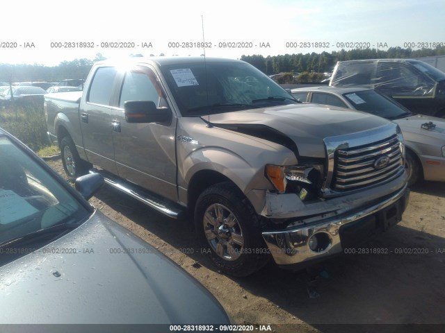 FORD F-150 2010 1ftfw1cv9afd15867