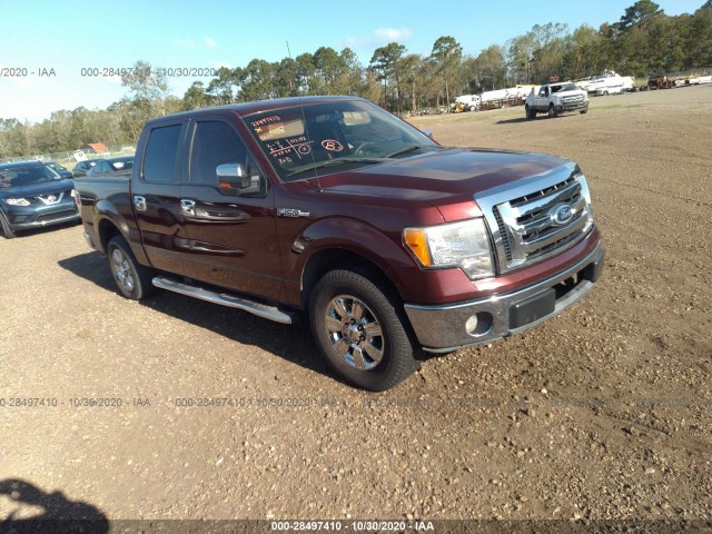 FORD F-150 2010 1ftfw1cv9afd72893