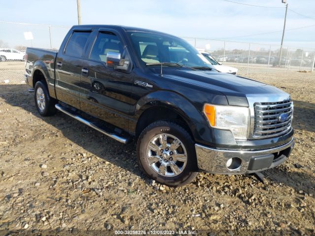 FORD F-150 2010 1ftfw1cvxafa51915