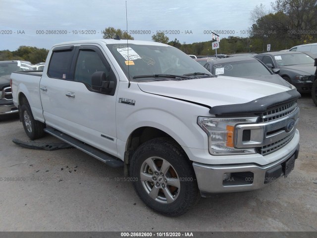 FORD F-150 2019 1ftfw1e17kfb04503