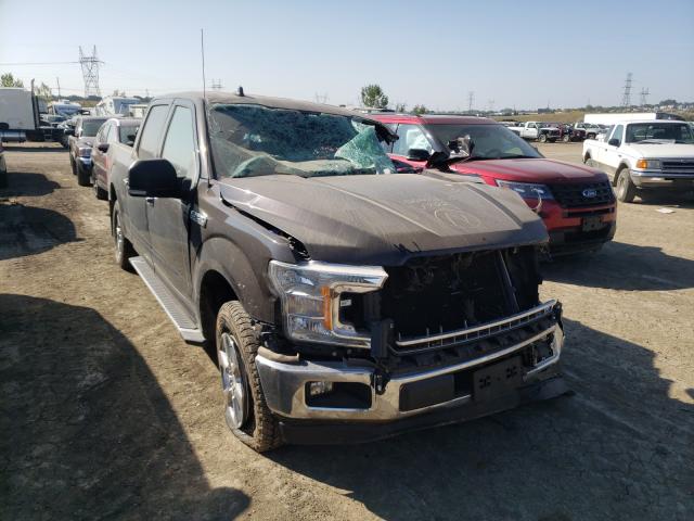 FORD F150 SUPER 2019 1ftfw1e52kfd01856