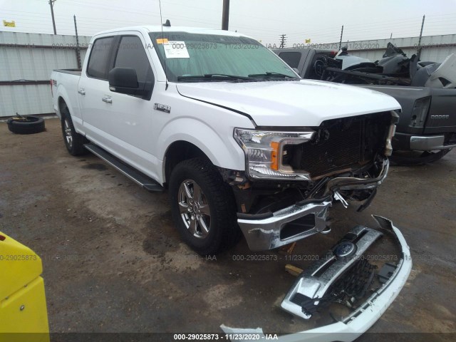 FORD F-150 2019 1ftfw1e52kkc41441