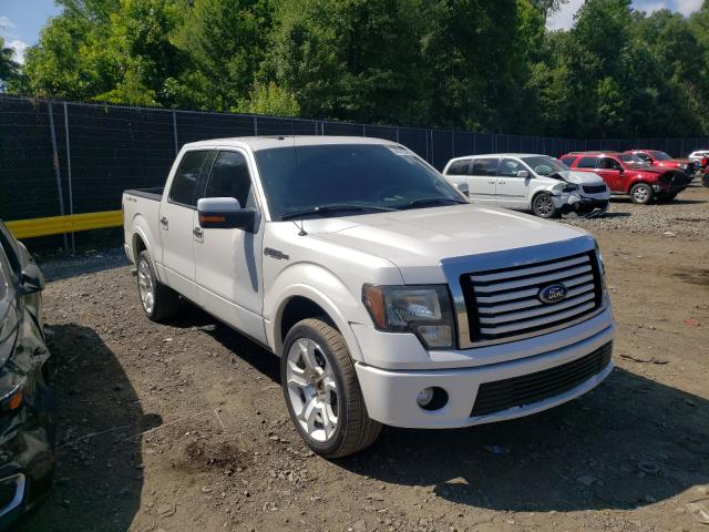 FORD F-150 2011 1ftfw1e61bfb42420