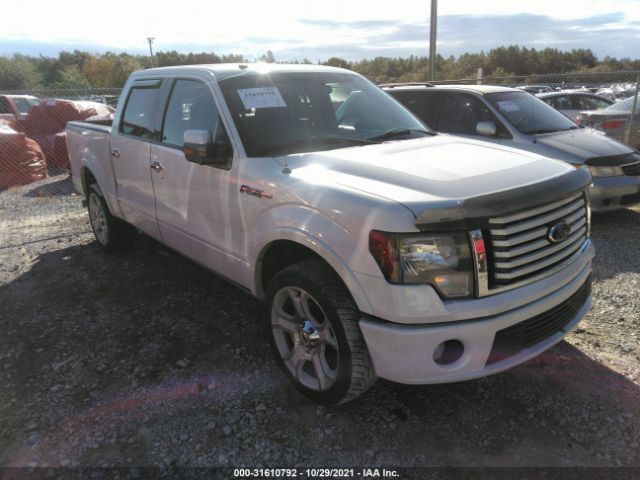 FORD F-150 2011 1ftfw1e62bfb38411