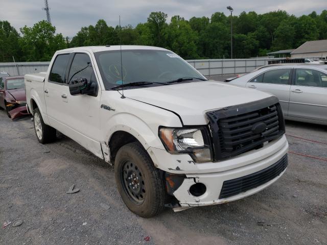 FORD F-150 2011 1ftfw1e63bfa50676