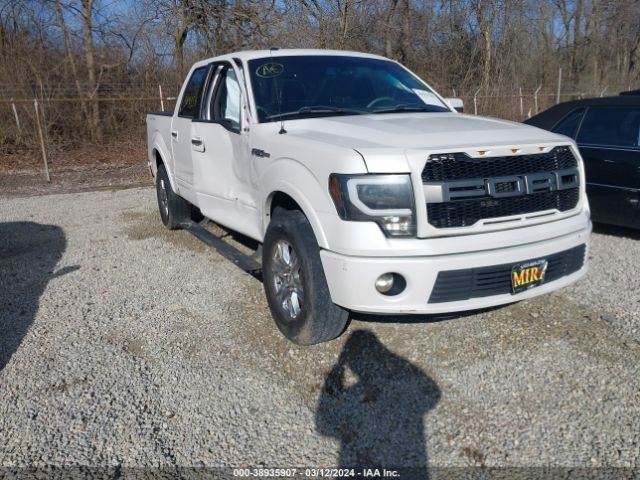 FORD F-150 2011 1ftfw1e63bfa53058