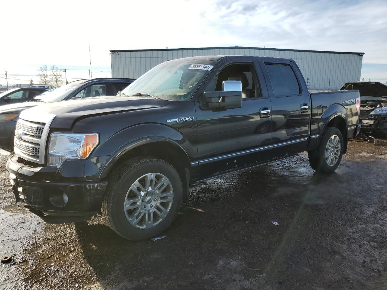 FORD F-150 2012 1ftfw1e65cfa90291