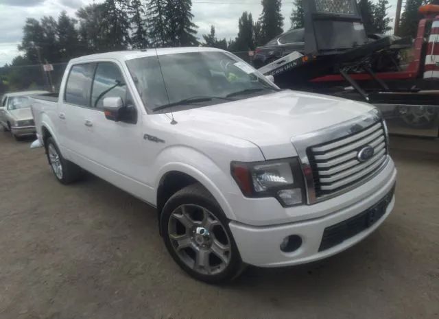 FORD F-150 2011 1ftfw1e67bfa97788