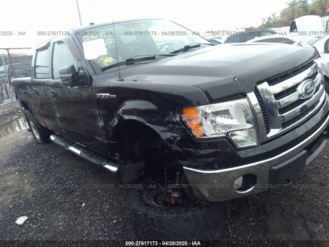 FORD F-150 2010 1ftfw1e80afa99866