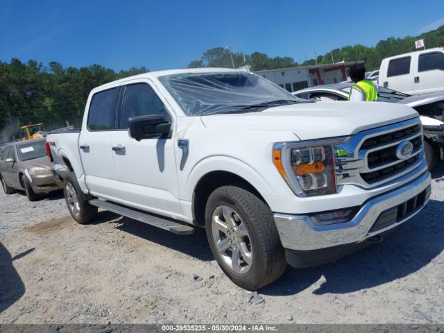 FORD F-150 2023 1ftfw1e80pfc03751