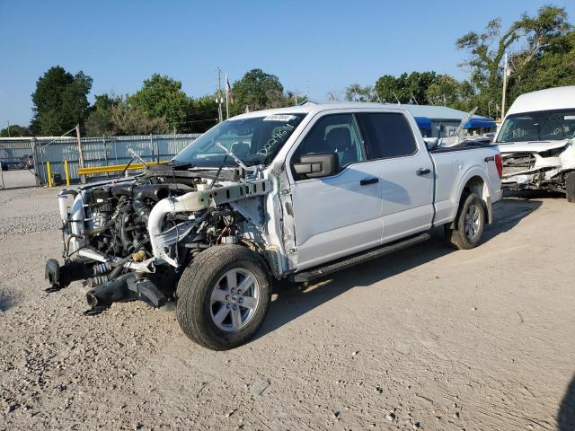 FORD F150 SUPER 2023 1ftfw1e81pkd22464