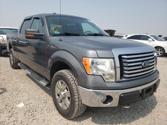 FORD F150 SUPER 2010 1ftfw1e83afa21727