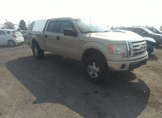 FORD F-150 2010 1ftfw1e85afa03228