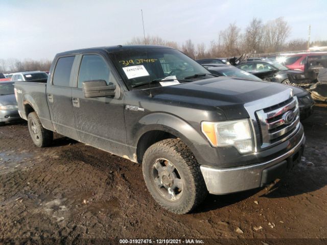 FORD F-150 2010 1ftfw1e85afa28436