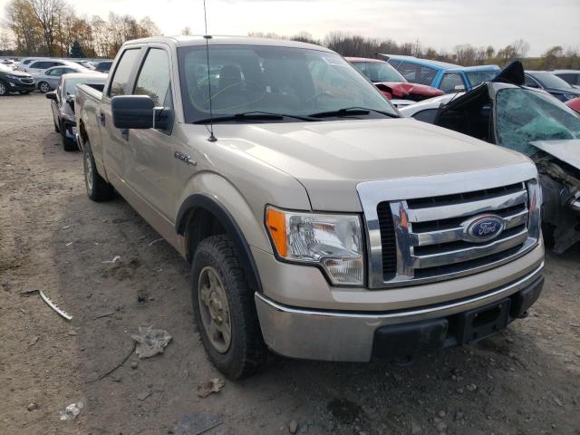 FORD F150 SUPER 2010 1ftfw1e85afa66488