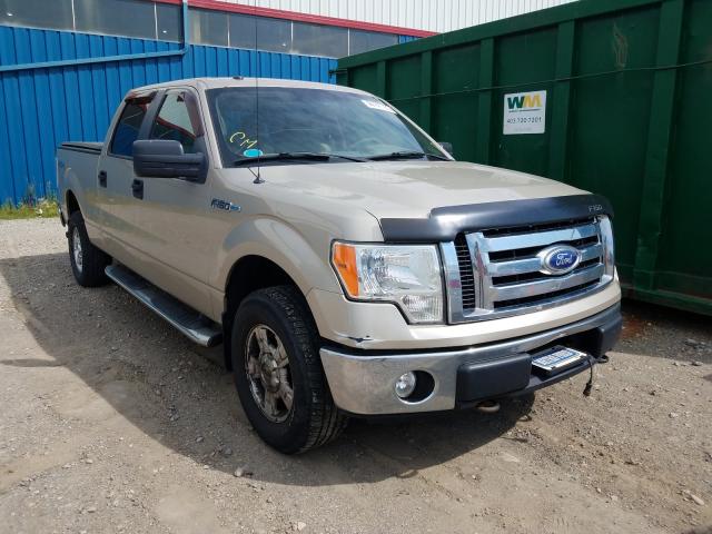 FORD F150 SUPER 2010 1ftfw1e87afc08565