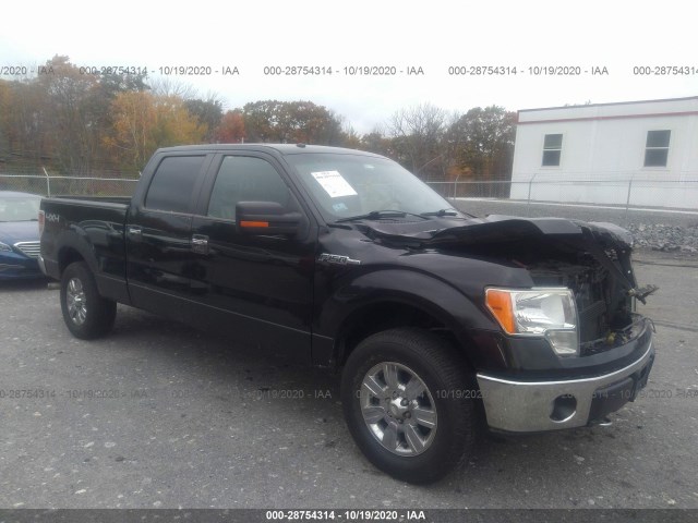 FORD F-150 2010 1ftfw1e88afa25899