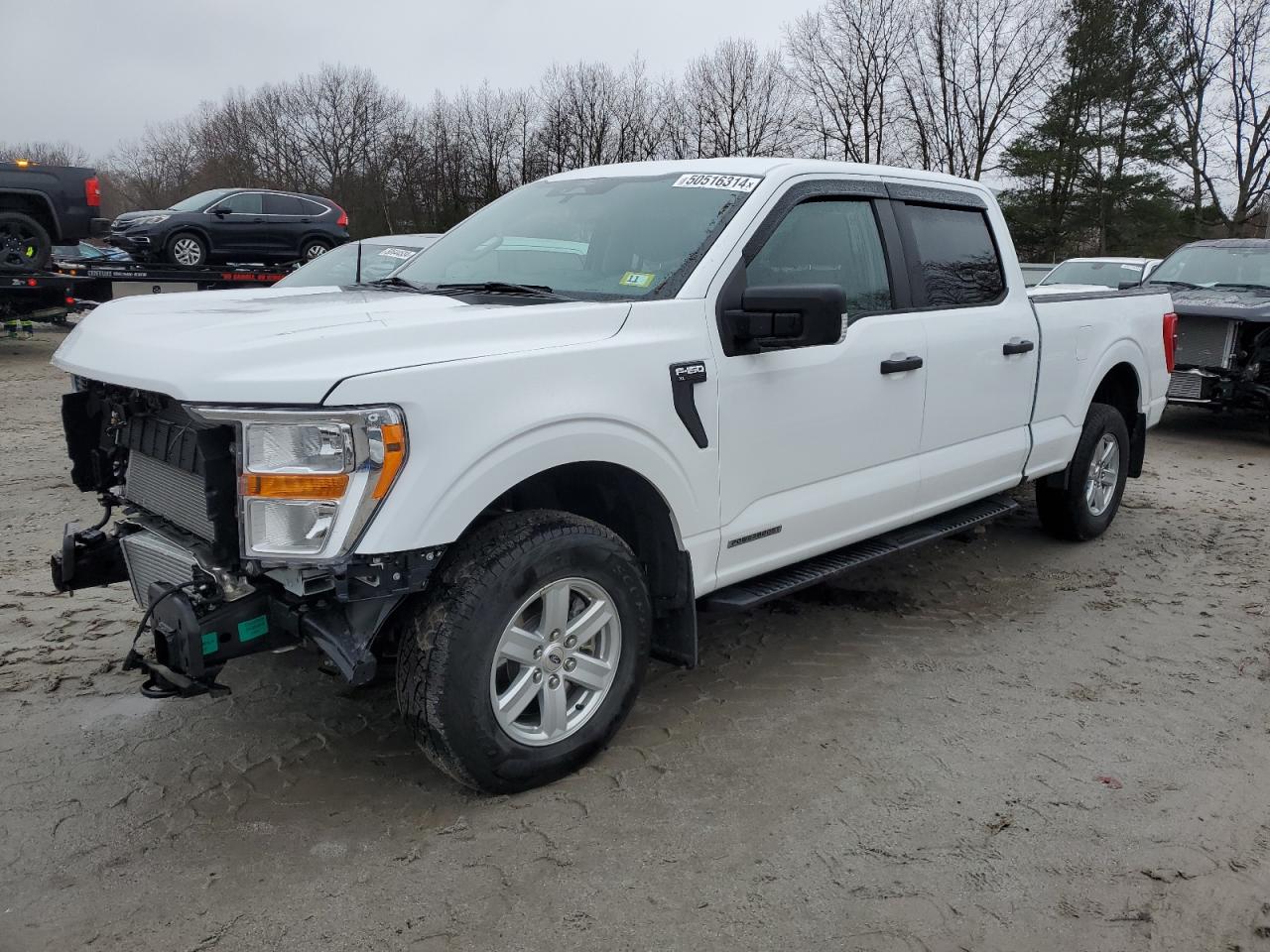 FORD F-150 2022 1ftfw1ed0nfb70602