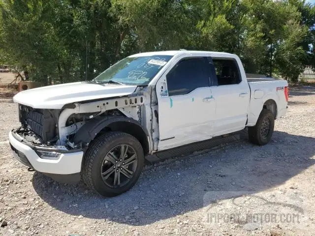 FORD F-150 2021 1ftfw1ed3mfc79540