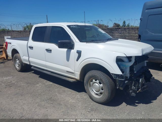 FORD F-150 2023 1ftfw1ed4pfa39854