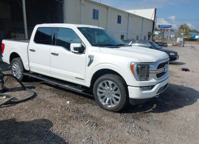 FORD F-150 2023 1ftfw1ed7pfa95609