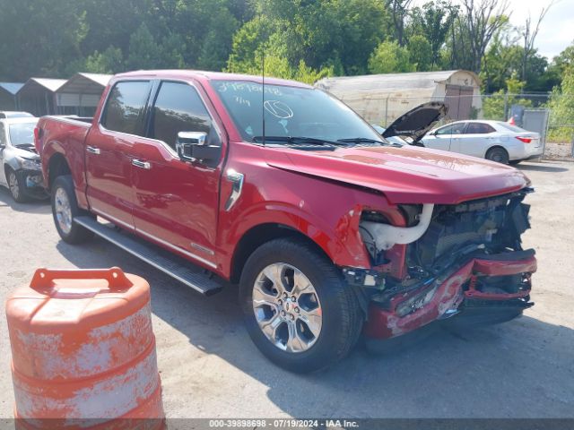 FORD F-150 2023 1ftfw1ed7pfb95659