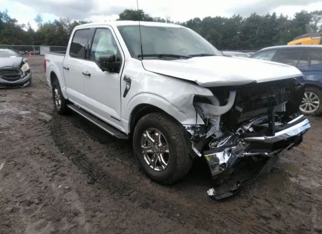 FORD F-150 2023 1ftfw1ed7pfc25999