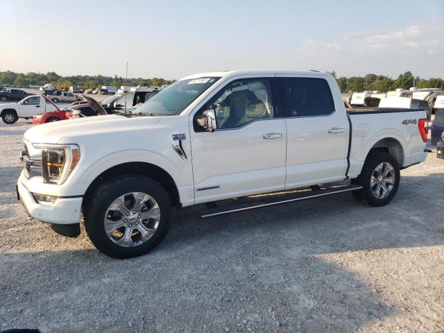 FORD F150 SUPER 2022 1ftfw1ed8nfb74848