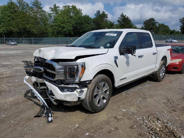 FORD F150 SUPER 2023 1ftfw1ed8pfa00765