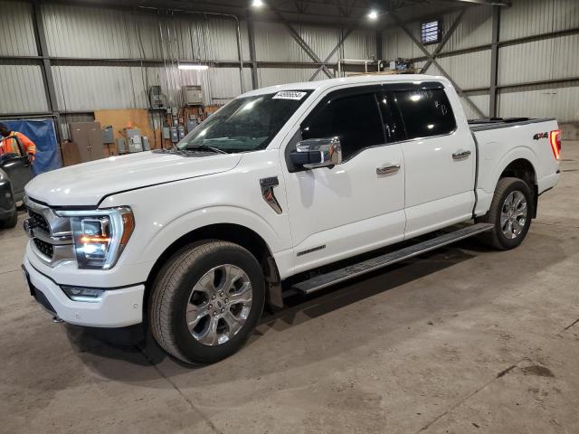 FORD F-150 2023 1ftfw1ed9pfa89746