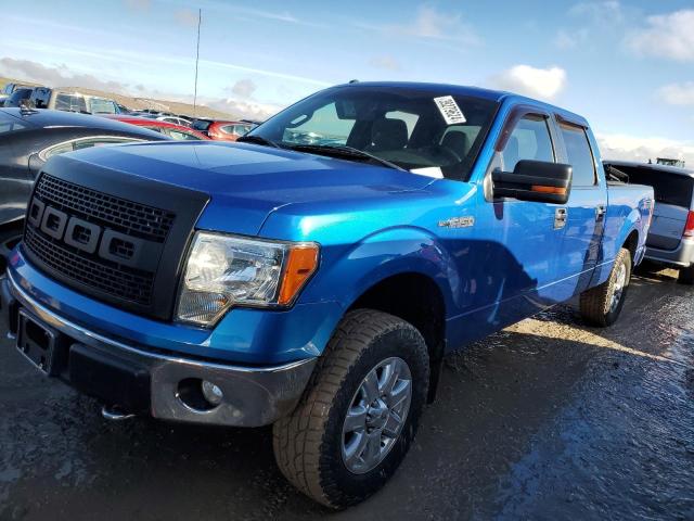 FORD F-150 2013 1ftfw1ef0dfa25401