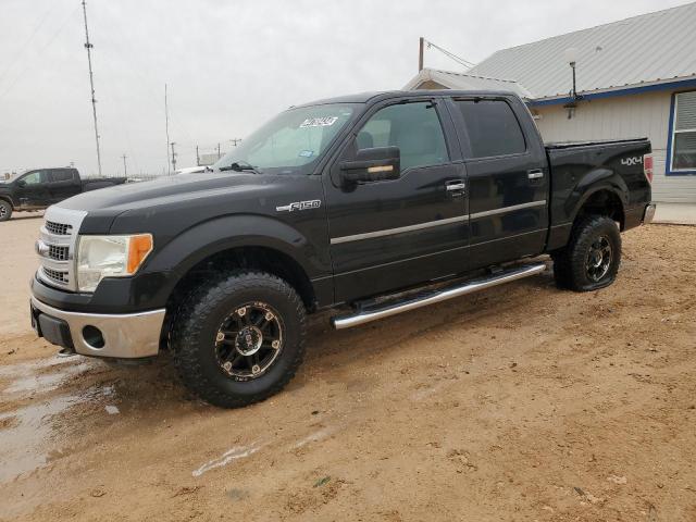 FORD F-150 2013 1ftfw1ef0dfa44062