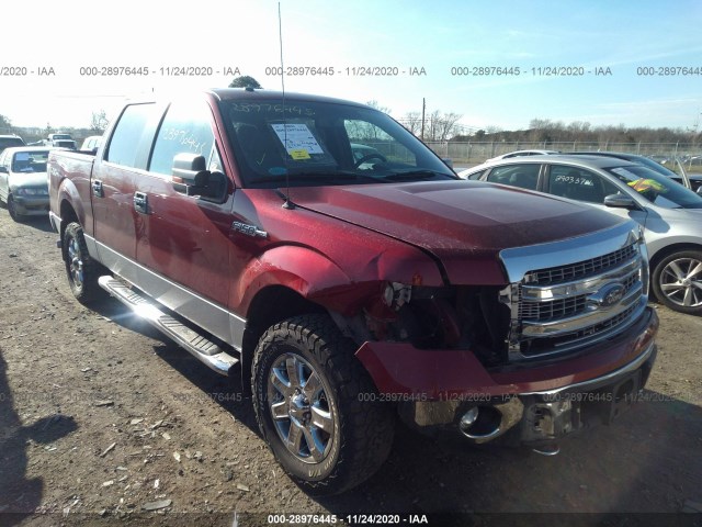 FORD F-150 2013 1ftfw1ef0dfb16877