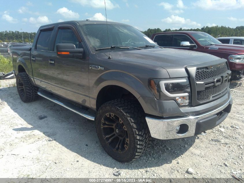 FORD F-150 2013 1ftfw1ef0dfb87724