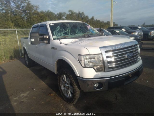 FORD F-150 2013 1ftfw1ef0dfc04456