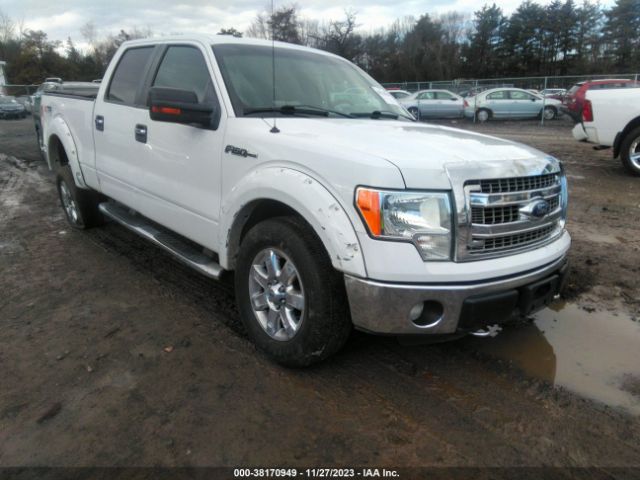 FORD F-150 2013 1ftfw1ef0dfc07017