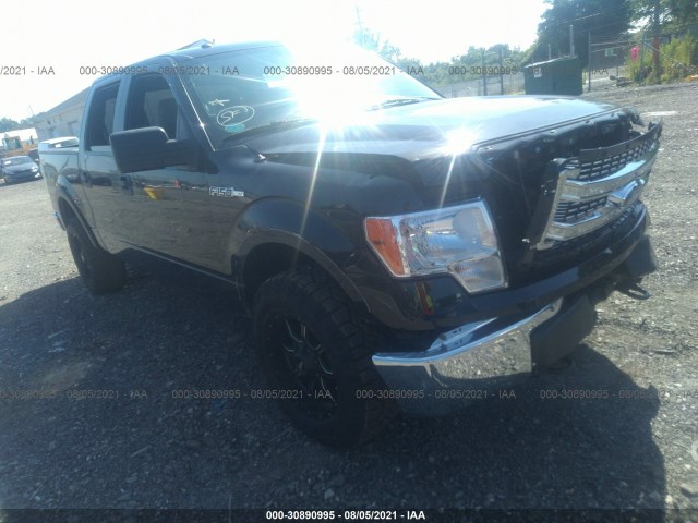 FORD F-150 2013 1ftfw1ef0dfd04766