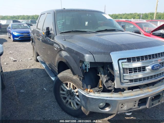 FORD F-150 2013 1ftfw1ef0dkd18562