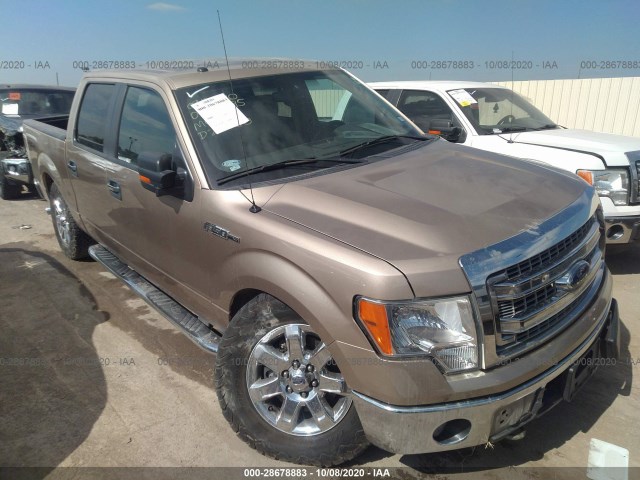 FORD F-150 2013 1ftfw1ef0dkd24460